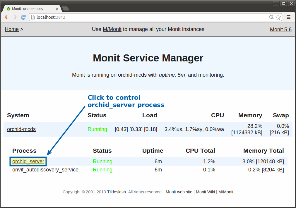 monit restart service